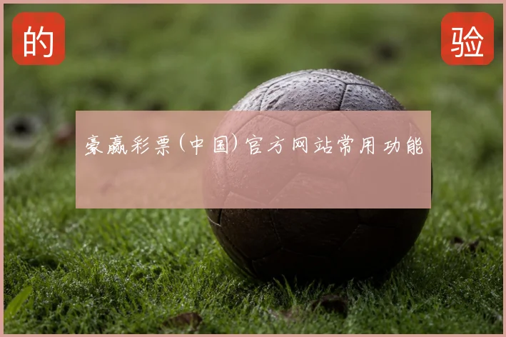 豪赢彩票(中国)官方网站常用功能